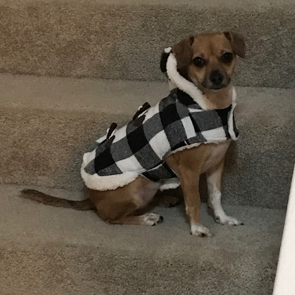 Meet your Posher, Tracie